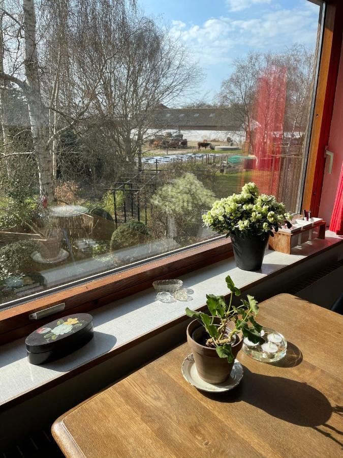 Retro bolig - fyldt med hygge! Ingen luksus Lejlighed Kolind Eksteriør billede