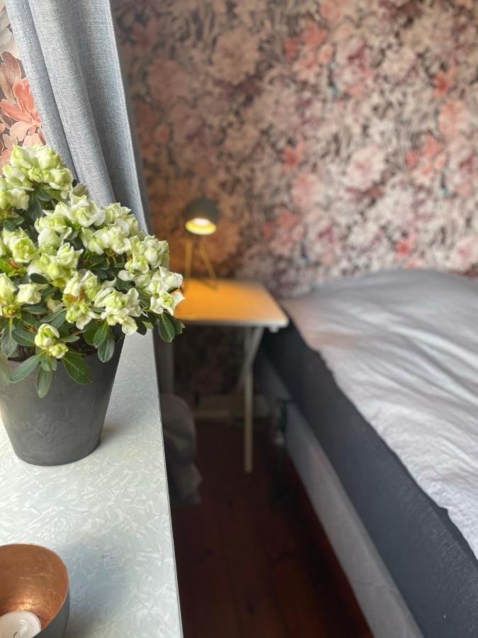 Retro bolig - fyldt med hygge! Ingen luksus Lejlighed Kolind Eksteriør billede